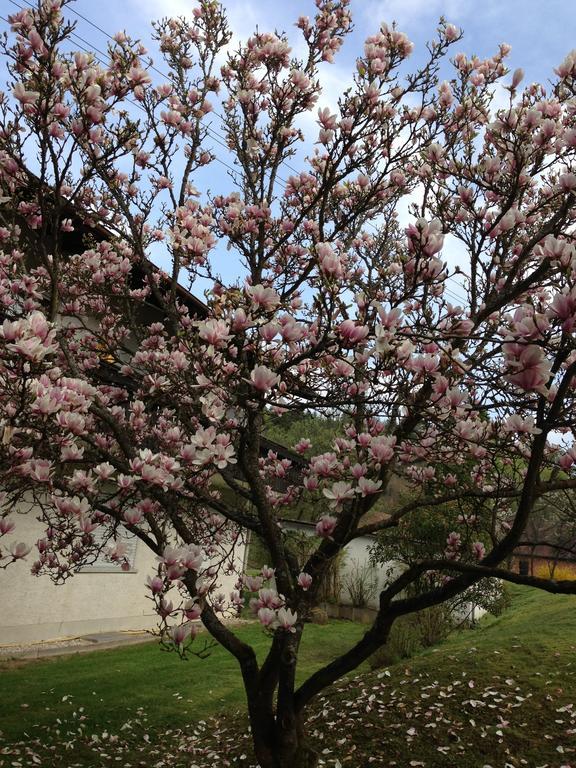 Weilbach Gasthof & Landhotel Ohrnbachtal מראה חיצוני תמונה